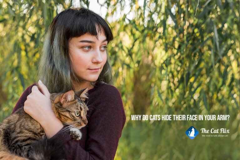 Why do cats hide their face in your arm