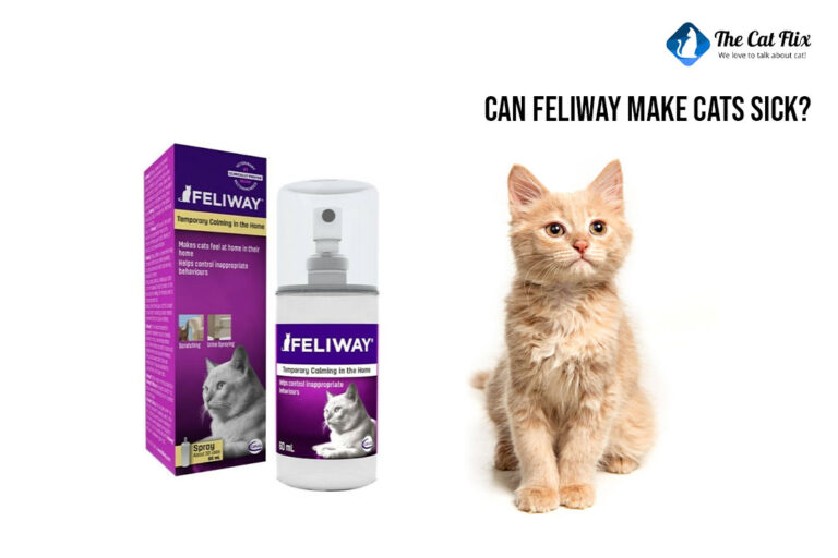 can feliway make cats sick