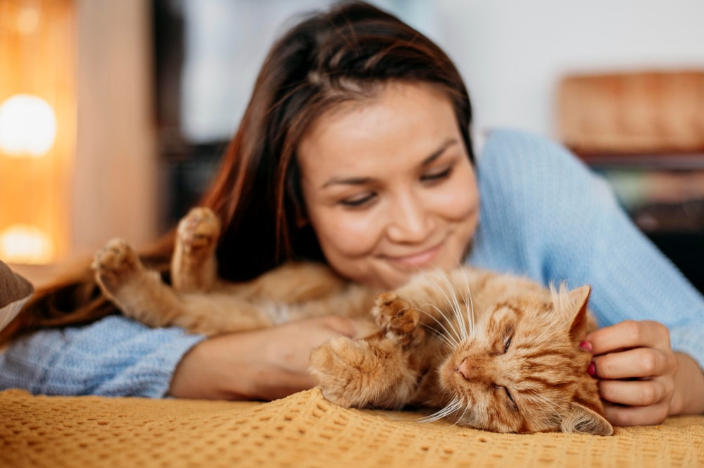 Do cats get more affectionate with age