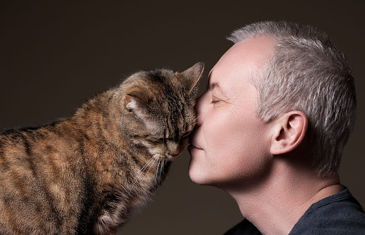 What Makes Your Phone's Smells Irresistible to Your Cat