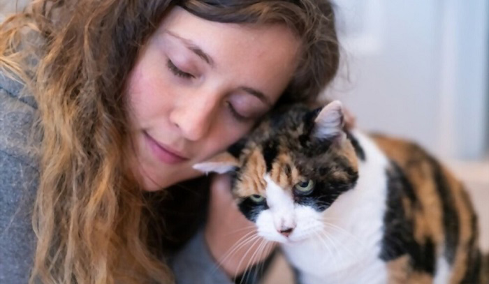 Do Cats Headbutt to Show They Love You