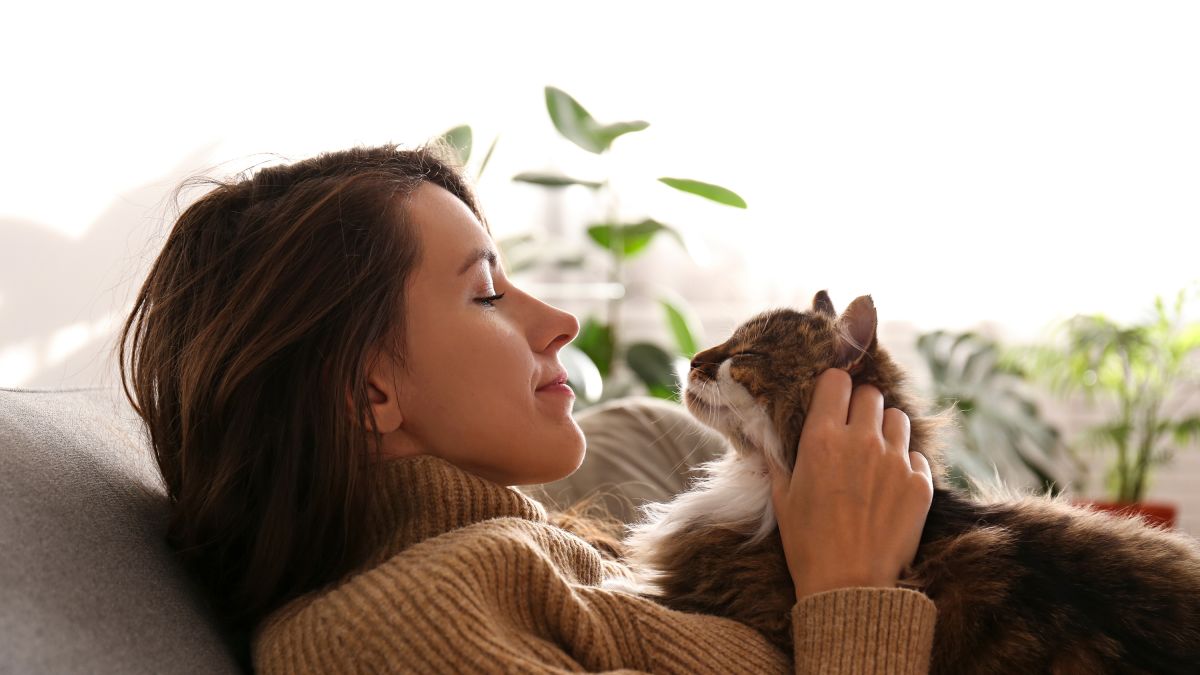 Signs of Increased Affection in Senior Cats