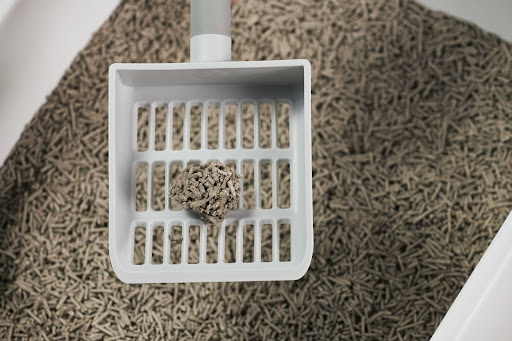 How Non Clumping Litter Works
