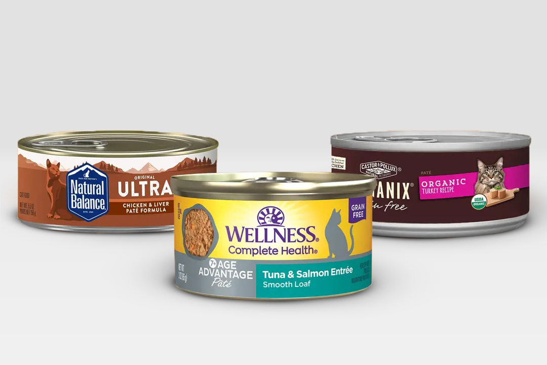 Best food to hide cat pills in 5 VetApproved Food To The Rescue