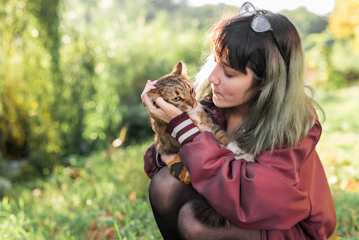 What Should You Do When Your Cat Stretches On you