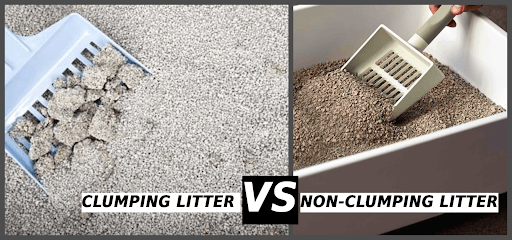What is Clumping Litter
