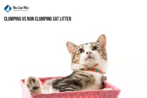 Clumping vs Non-Clumping Cat Litter: Pros and Cons