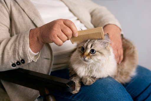 Why Do Cats Need a Hair Trim