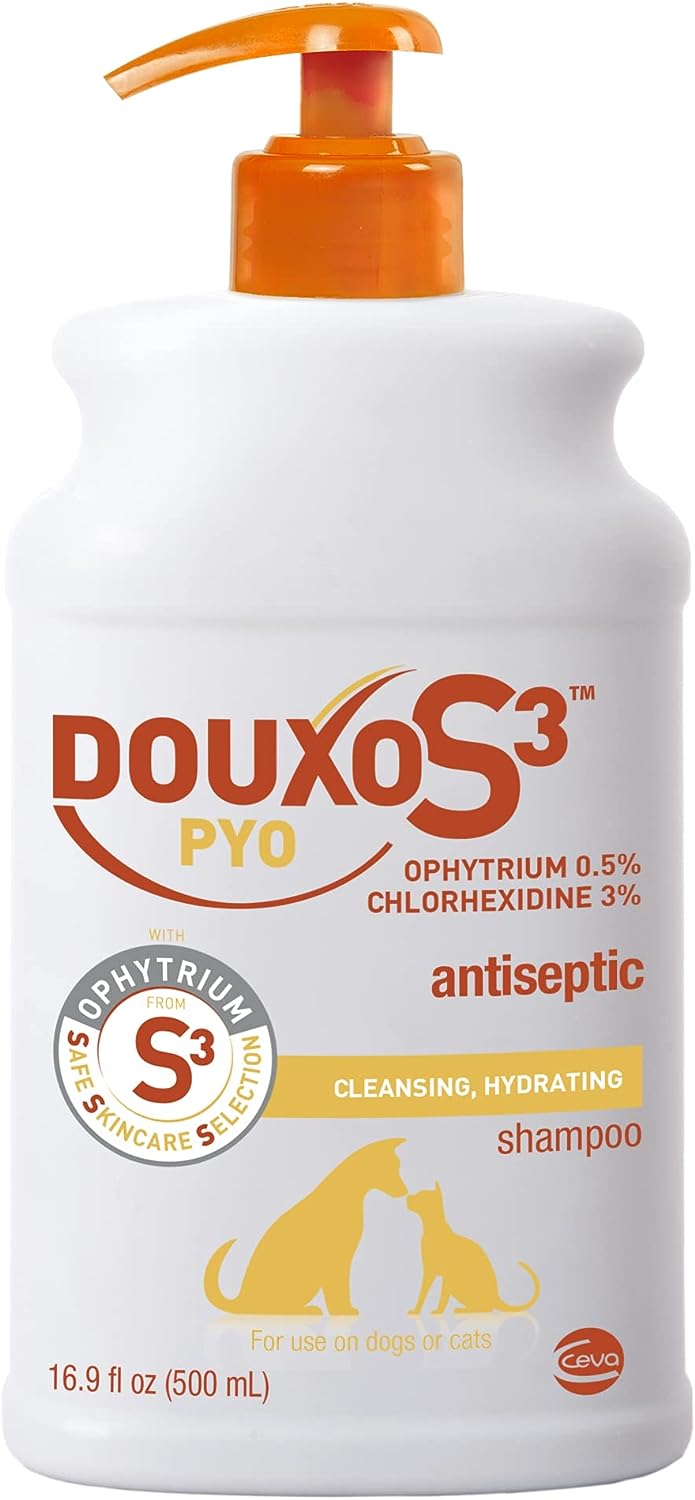 Douxo S3 PYO Antiseptic Antifungal Chlorhexidine Dog & Cat Shampoo