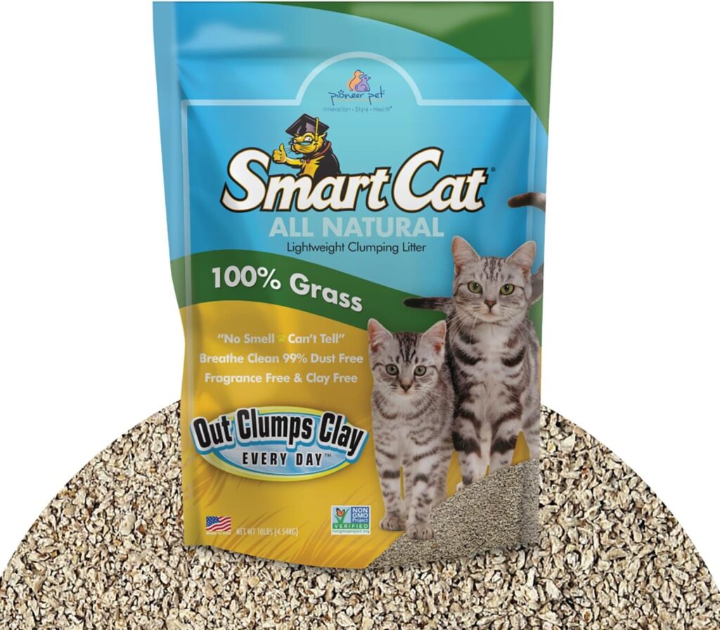 Best Litter For Diabetic Cats