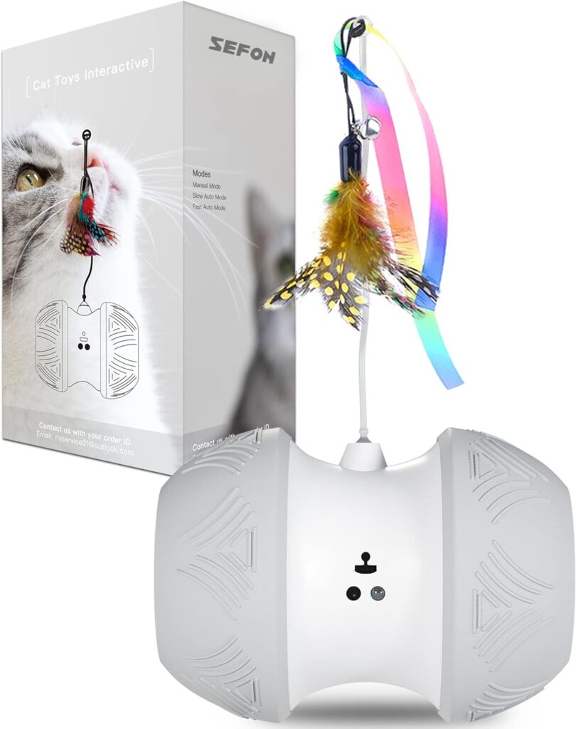 7 Best Remote Control Cat Toy In 2024