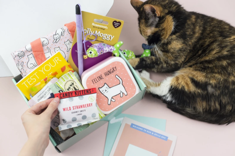 Cat Subscription Boxes – Surprise Your Cat Every Month