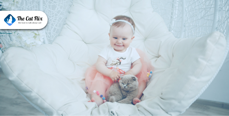 How to Help Your Cat Adjust to a New Baby in the House