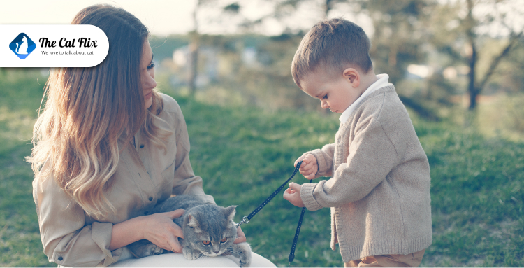 Teaching Baby to Be Cat-Friendly